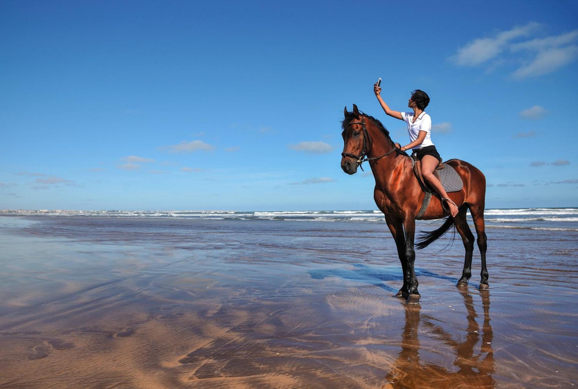 Pullman Mazagan Royal Golf&Spa El Jadida Dış mekan fotoğraf A horse on the beach